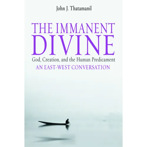 The Immanent Divine: God, Creation, and the Human Predicament - Paperback