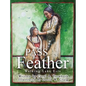 Pass the Feather: Walking Lake Erie - Hardcover