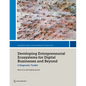 Developing Entrepreneurial Ecosystems for Digital Businesses and Beyond: A Diagnostic Toolkit - Paperback