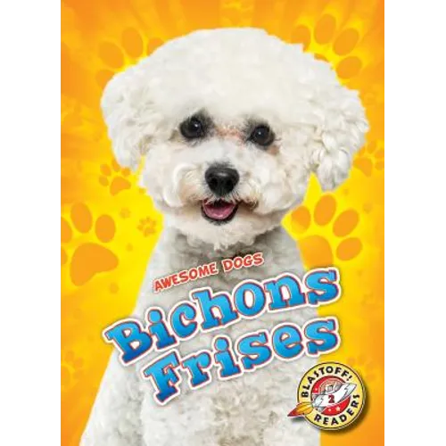 Bichons Frises - Library Binding