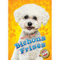 Bichons Frises - Library Binding
