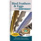 Bird Feathers & Eggs of the Northeast: Identify 40 Species of Common Backyard Birds - Spiral