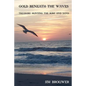 Gold Beneath the Waves: Treasure Hunting the Surf and Sand - Paperback