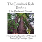 The Comeback Kids, Book 12, the Redwood Forest - Paperback