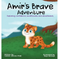 Amir's Brave Adventure: Exploring Confidence, Mindfulness and Attachment - Hardcover