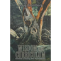 Wisdom and Curriculum: Christian Schooling After Postmodernity - Paperback