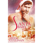 Santa Baby - Paperback