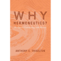 Why Hermeneutics?: An Appeal Culminating with Ricoeur - Hardcover