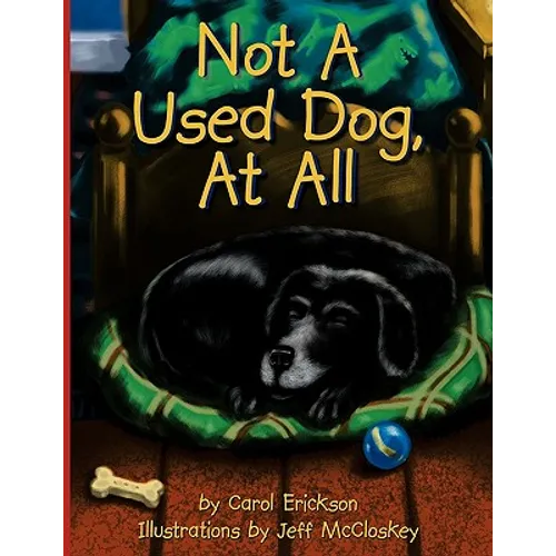 Not A Used Dog, At All - Paperback