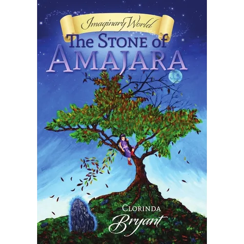 Imaginary World: The Stone of Amajara - Hardcover