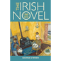The Irish Novel: 1960-2010 - Paperback