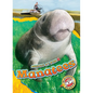 Manatees - Library Binding