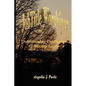 Job Title Worshiper: Understanding the Position of Worship Leader - Paperback