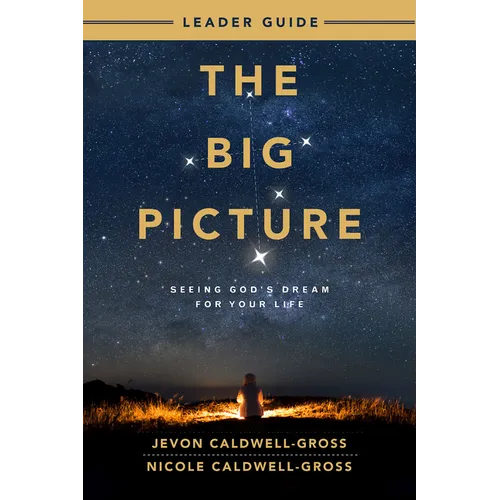 The Big Picture Leader Guide: Seeing God's Dream for Your Life - Paperback