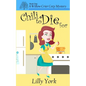 Chili to Die for (a Willow Crier Cozy Mystery Book 1) - Paperback