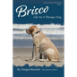 Brisco, Life As A Therapy Dog - Paperback