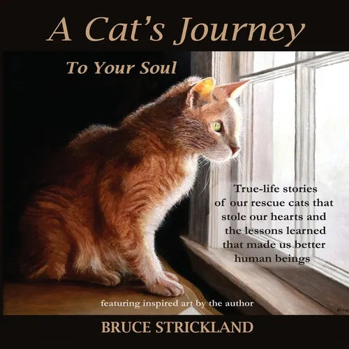 A Cat's Journey To Your Soul - Paperback