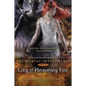 City of Heavenly Fire - Hardcover