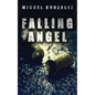 Falling Angel - Paperback