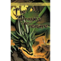 The Dragon's Treasure: A Dreamer's Guide to Inner Discovery Through Dream Interpretation - Paperback