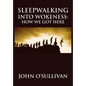 Sleepwalking Into Wokeness: How We Got Here - Hardcover
