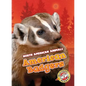 American Badgers - Library Binding