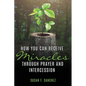How You Can Receive Miracles Through Prayer and Intercession - Paperback