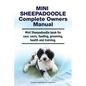 Mini Sheepadoodle Complete Owners Manual. Mini Sheepadoodle book for care, costs, feeding, grooming, health and training. - Paperback