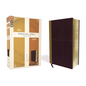 KJV, Amplified, Parallel Bible, Large Print, Leathersoft, Tan/Burgundy, Red Letter Edition: Two Bible Versions Together for Study and Comparison - Imitation Leather