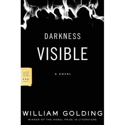 Darkness Visible - Paperback