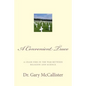 A Convenient Truce: A cease fire in the war between religion and science - Paperback