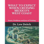 What to Expect When Cruising Mexico's West Coast: Issues, Problems and Joys of Visiting - Paperback