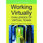 Working Virtually: Challenges of Virtual Teams - Hardcover