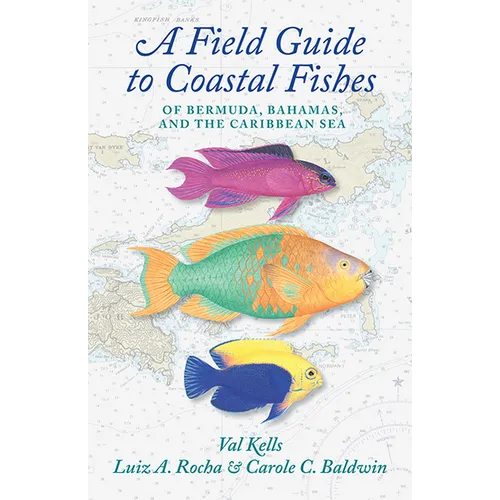 A Field Guide to Coastal Fishes of Bermuda, Bahamas, and the Caribbean Sea - Paperback