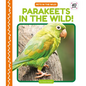 Parakeets in the Wild! - Library Binding