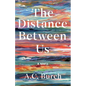 The Distance Between Us - Paperback