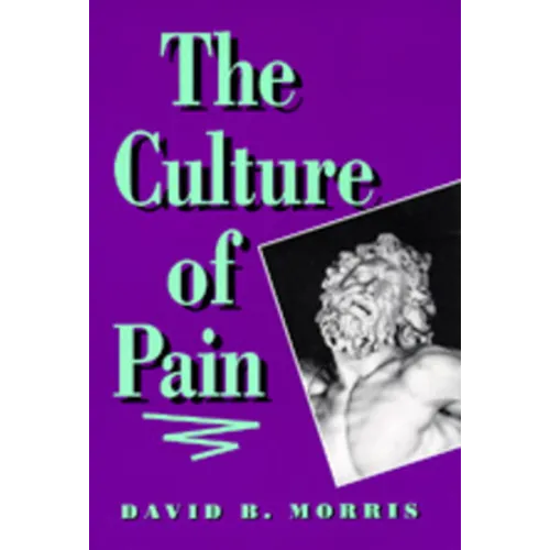 The Culture of Pain - Paperback