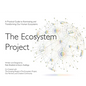 The Ecosystem Project: A Practical Guide to Illuminating and Transforming Our Human Ecosystems - Paperback