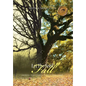 Let the Seed Fall: Growing from a Seed to a Tree by God's Power - Hardcover