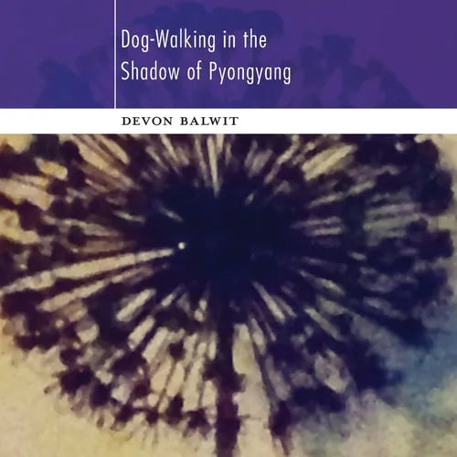 Dog-Walking in the Shadow of Pyongyang - Paperback