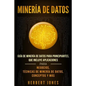 Minería de Datos: Guía de Minería de Datos para Principiantes, que Incluye Aplicaciones para Negocios, Técnicas de Minería de Datos, Conceptos y Más - Paperback