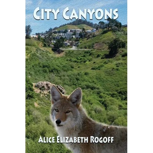 City Canyons - Paperback