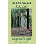 Angel of Light: How a Young Woman Finds a New Path - Paperback