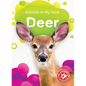 Deer - Paperback