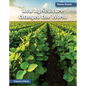 How Agriculture Changed the World - Library Binding