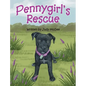 Pennygirl's Rescue - Hardcover