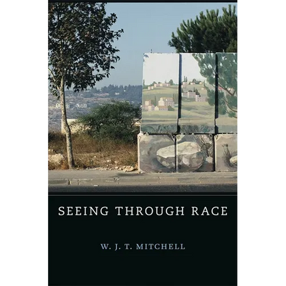 Seeing Through Race - Hardcover
