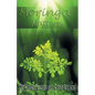 Moringa Matters - Paperback