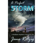 A Perfect Storm: A Lesbian Mystery Romance - Paperback