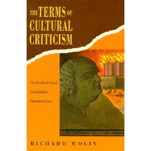 The Terms of Cultural Criticism: The Frankfurt School, Existentialism, Poststructuralism - Paperback